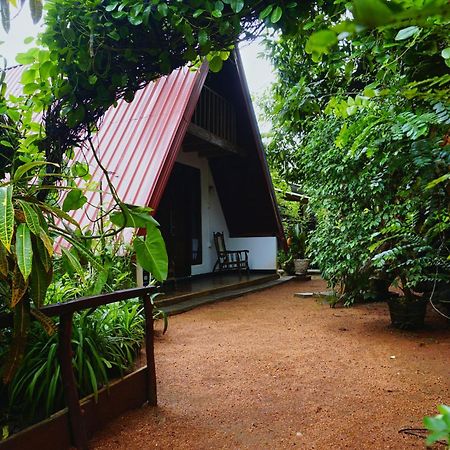 Sky Villa Sigiriya Dış mekan fotoğraf