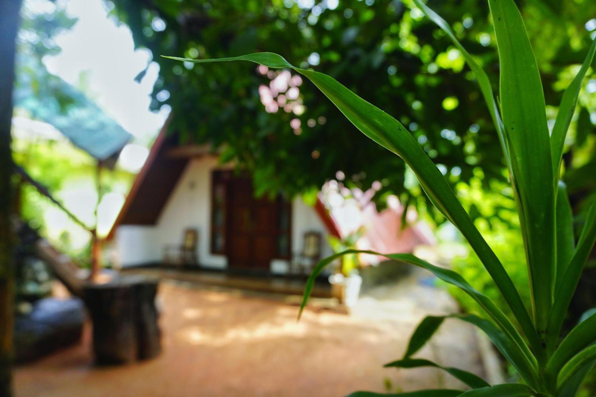 Sky Villa Sigiriya Dış mekan fotoğraf