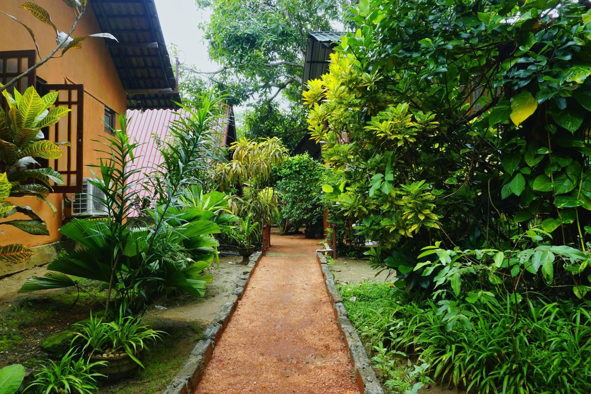 Sky Villa Sigiriya Dış mekan fotoğraf